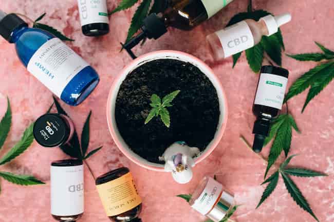 How do organic farming practices relate to soil Health? 1